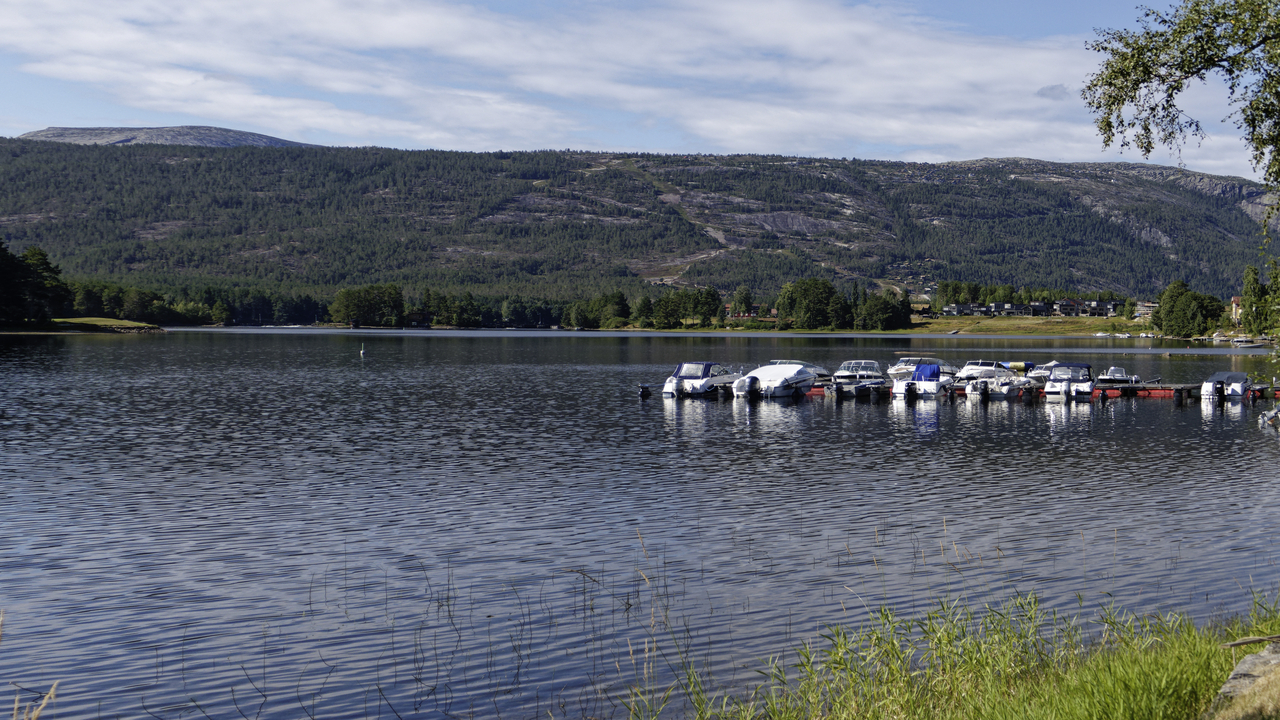 20260817 105347•Vradal•Kviteseid•Telemark•Norway (Alt 319.2 m )